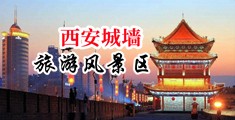 骚屄奶牛性奴中国陕西-西安城墙旅游风景区